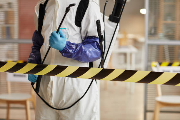 Professional Hoarding Cleanup technician working in Hancocks Bridge, NJ